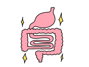 整った腸