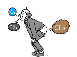酸素を吸って二酸化炭素とメタンを排出するおじさんの模式図のイラスト