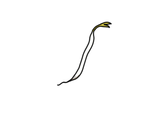 日常イラスト おもイラ