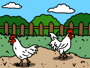 庭には二羽鶏がいるイラスト